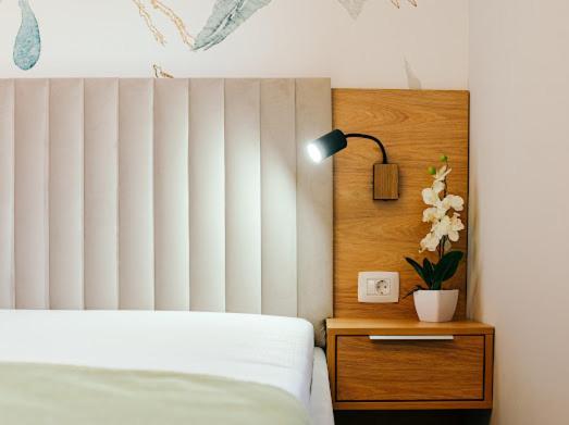 Rainforest Apartament Ghimbav 外观 照片